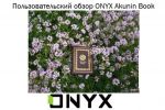    ONYX Akunin Book (20.08.2014)