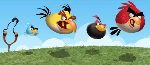 Angry Birds залетают на бюджетных Android смартфонах (22.11.2010)