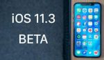 iOS 11.3    