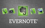 Evernote    100  